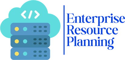 Custom ERP Development